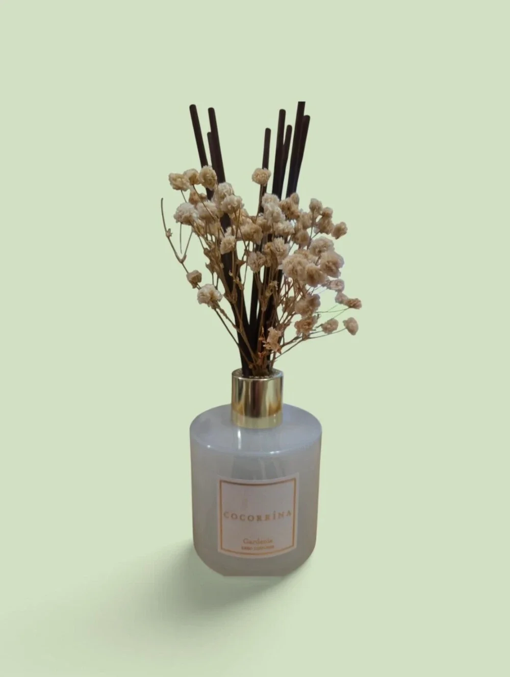 Cream Reed Diffuser with Dried Flowers ( Empty)
